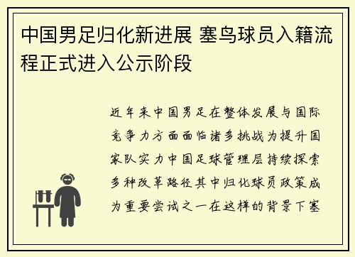 中国男足归化新进展 塞鸟球员入籍流程正式进入公示阶段